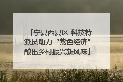 宁夏西夏区 科技特派员助力“紫色经济”酿出乡村振兴新风味