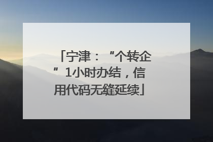 宁津：“个转企”1小时办结，信用代码无缝延续