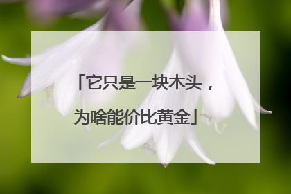 它只是一块木头，为啥能价比黄金