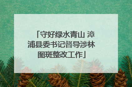 守好绿水青山 漳浦县委书记督导涉林图斑整改工作