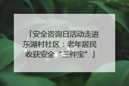 安全咨询日活动走进东湖村社区：老年居民收获安全“三件宝”