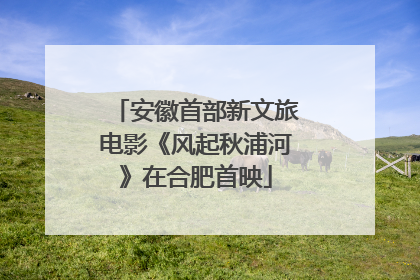 安徽首部新文旅电影《风起秋浦河》在合肥首映