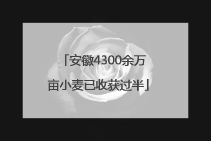 安徽4300余万亩小麦已收获过半