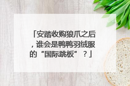 安踏收购狼爪之后，谁会是鸭鸭羽绒服的“国际跳板”？