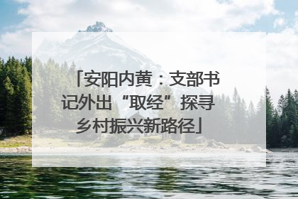 安阳内黄：支部书记外出“取经”探寻乡村振兴新路径