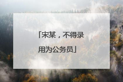 宋某，不得录用为公务员