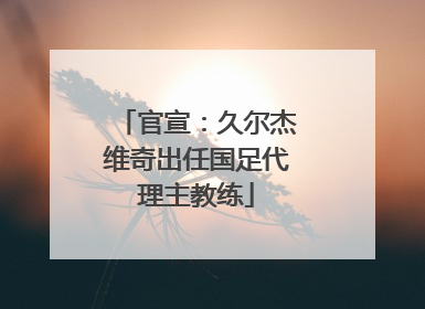 官宣：久尔杰维奇出任国足代理主教练