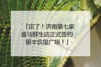 定了！济南第七家盒马鲜生店正式签约银丰玖玺广场！