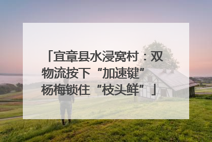 宜章县水浸窝村：双物流按下“加速键” 杨梅锁住“枝头鲜”