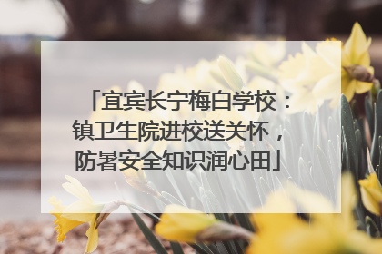 宜宾长宁梅白学校：镇卫生院进校送关怀，防暑安全知识润心田