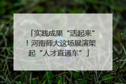 实践成果“活起来”！河南师大这场展演架起“人才直通车”