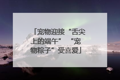 宠物迎接“舌尖上的端午” “宠物粽子”受喜爱