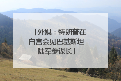 外媒：特朗普在白宫会见巴基斯坦陆军参谋长