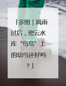 多图｜风雨过后，密云水库“鸟岛”上的幼鸟还好吗？