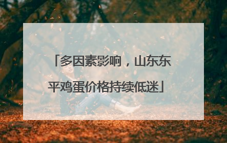 多因素影响，山东东平鸡蛋价格持续低迷