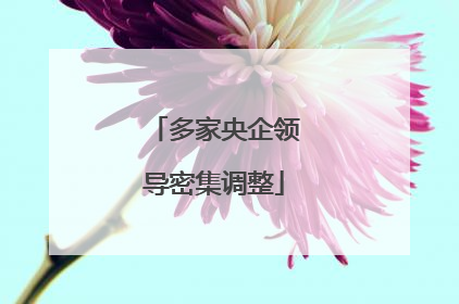 多家央企领导密集调整