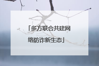 多方联合共建网络防诈新生态