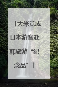 大米竟成日本游客赴韩旅游“纪念品”