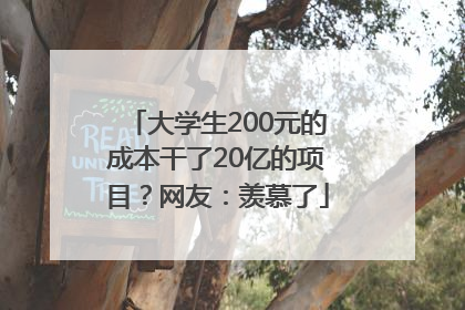 大学生200元的成本干了20亿的项目？网友：羡慕了