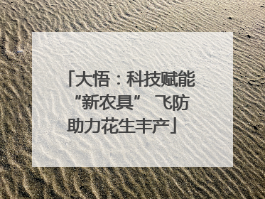 大悟：科技赋能“新农具” 飞防助力花生丰产