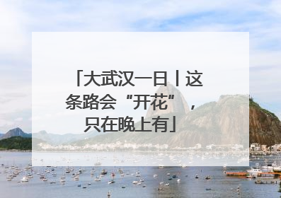 大武汉一日丨这条路会“开花”，只在晚上有