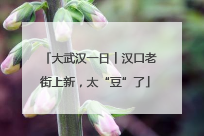 大武汉一日︱汉口老街上新，太“豆”了