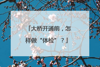 大桥开通前，怎样做“体检”？