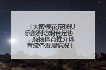 大阪樱花足球俱乐部到访烟台足协，鹿扬体育推介体育装备发展情况