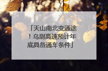 天山南北变通途！乌尉高速预计年底具备通车条件