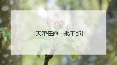 天津任命一批干部