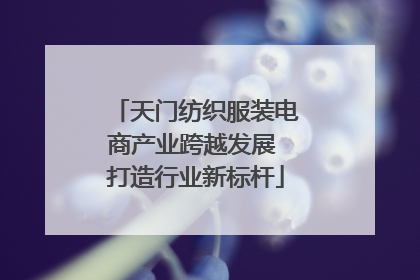 天门纺织服装电商产业跨越发展 打造行业新标杆