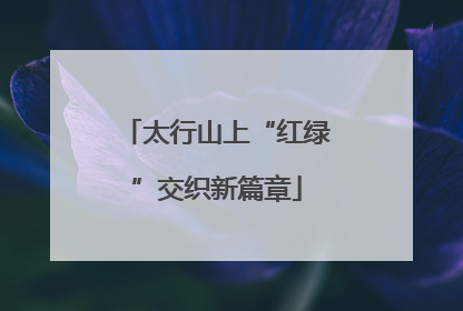 太行山上“红绿”交织新篇章