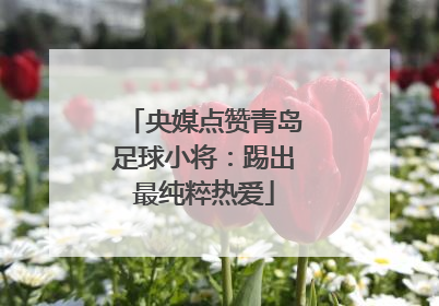 央媒点赞青岛足球小将：踢出最纯粹热爱