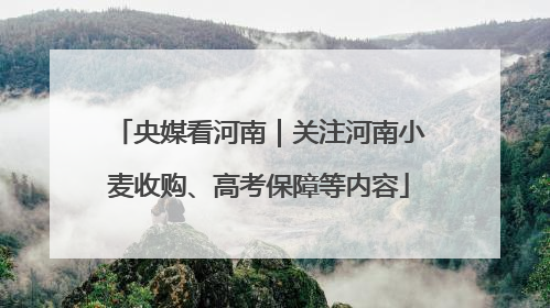 央媒看河南｜关注河南小麦收购、高考保障等内容