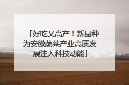 好吃又高产！新品种为安徽蔬菜产业高质发展注入科技动能