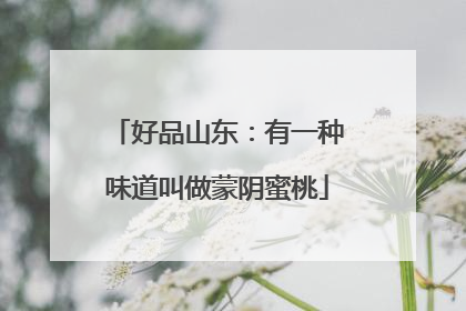 好品山东：有一种味道叫做蒙阴蜜桃