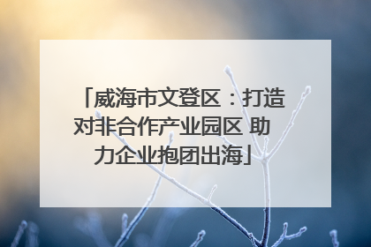 威海市文登区：打造对非合作产业园区 助力企业抱团出海