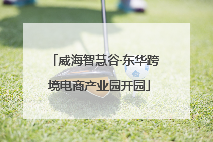 威海智慧谷·东华跨境电商产业园开园