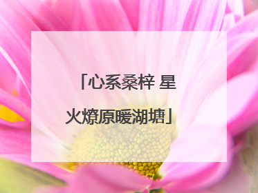 心系桑梓 星火燎原暖湖塘
