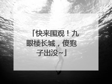 快来围观！九眼楼长城，傻狍子出没~