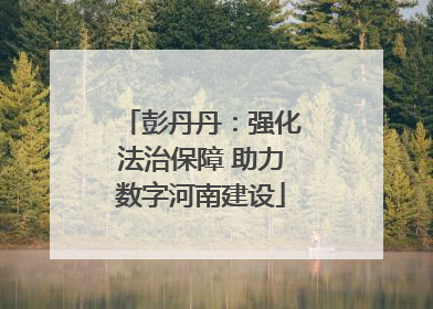 彭丹丹：强化法治保障 助力数字河南建设