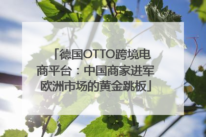 德国OTTO跨境电商平台：中国商家进军欧洲市场的黄金跳板