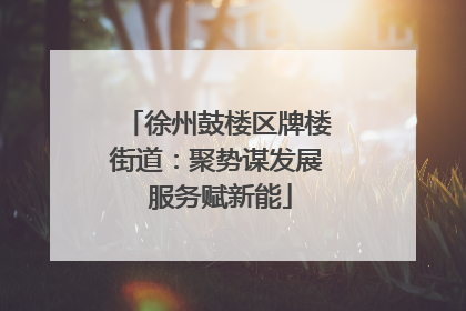 徐州鼓楼区牌楼街道：聚势谋发展 服务赋新能