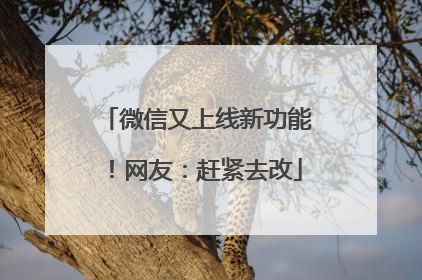微信又上线新功能！网友：赶紧去改