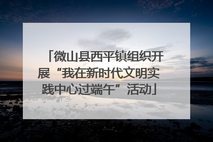 微山县西平镇组织开展“我在新时代文明实践中心过端午”活动