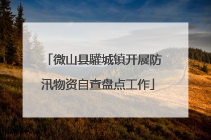 微山县驩城镇开展防汛物资自查盘点工作