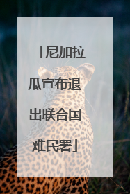 尼加拉瓜宣布退出联合国难民署