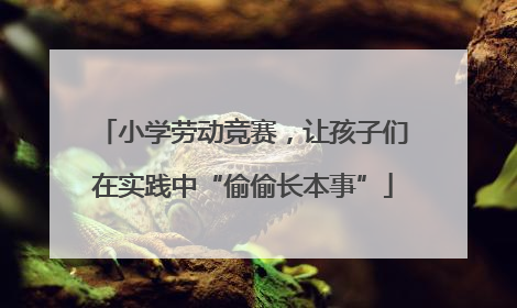小学劳动竞赛，让孩子们在实践中“偷偷长本事”