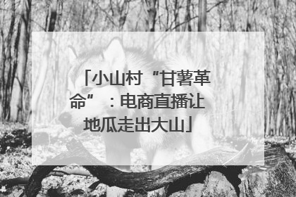 小山村“甘薯革命”：电商直播让地瓜走出大山