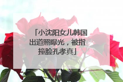 小沈阳女儿韩国出道照曝光，被指撞脸孔孝真